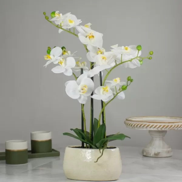 Arrangements & Greenery-Kirkland's Home White Orchid In Round Ceramic Bowl White/Green