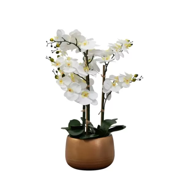 Arrangements & Greenery-Kirkland's Home White Real Touch Orchid Arrangement In Gold Pot White/Gold