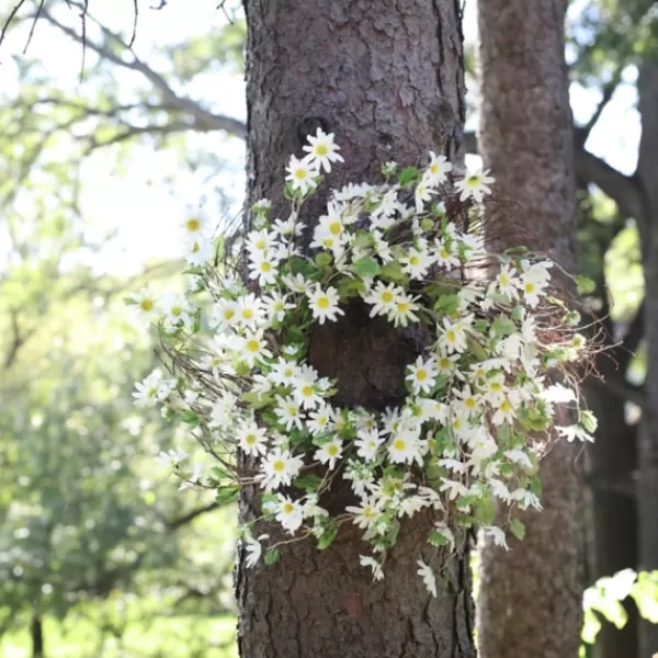 Wreaths-Kirkland's Home White Wild Daisies Wreath White/Green