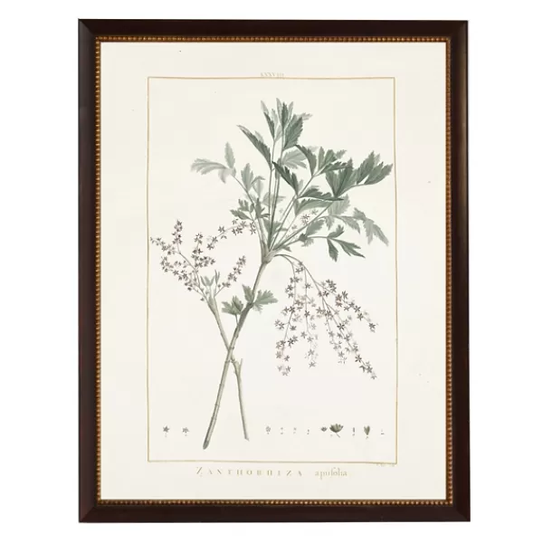 Framed Art-Kirkland's Home Zanthorhiza Greenery Black Beaded Framed Art Print Ivory/Green